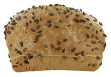 Masia Brood