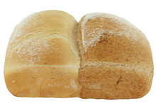 Duo Brood