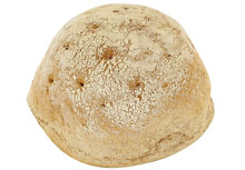 Boerebrood