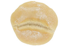 Vloerpistolets