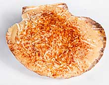 Gegratineerde Coquilleschelp ‘t Werftje