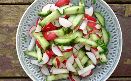 Salade van radijzen en komkommer